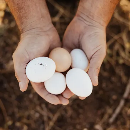 Nuali - Stazzo In Gallura