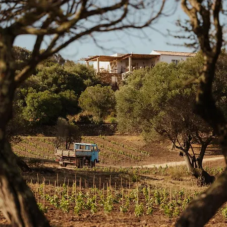 Nuali - Stazzo In Gallura פאלאו