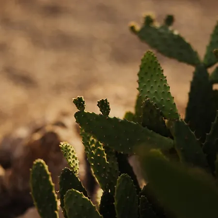 Nuali - Stazzo In Gallura לינה וארוחת בוקר פאלאו
