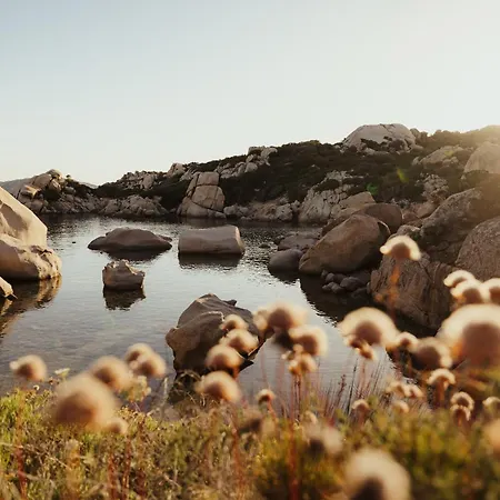 Bed & Breakfast Nuali - Stazzo In Gallura
