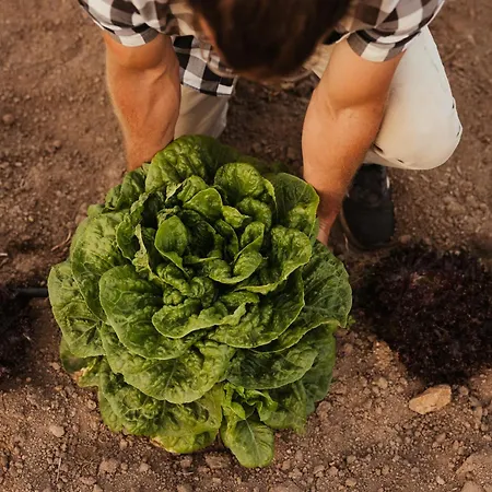 Nuali - Stazzo In Gallura Frühstückspension 4*