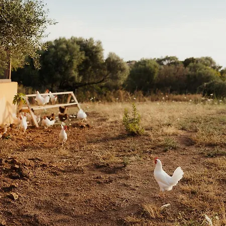 Nuali - Stazzo In Gallura