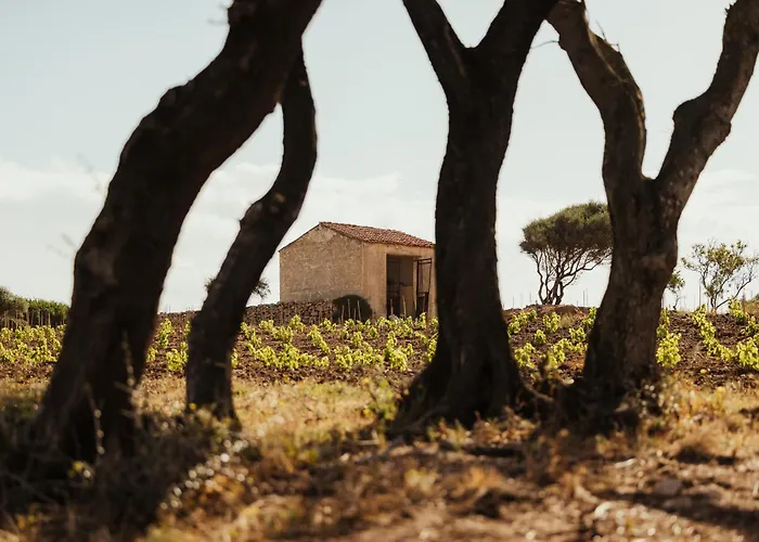 Nuali - Stazzo In Gallura Отель типа 
